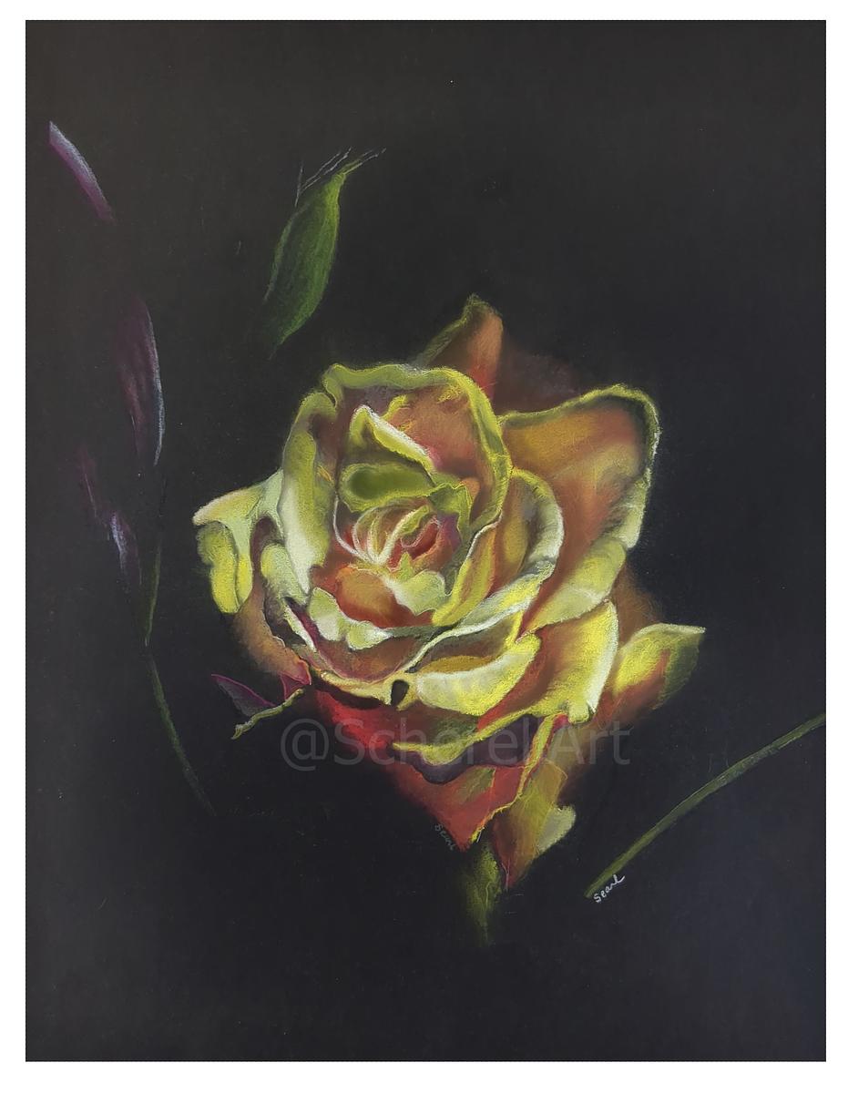 "Yellow Rose"