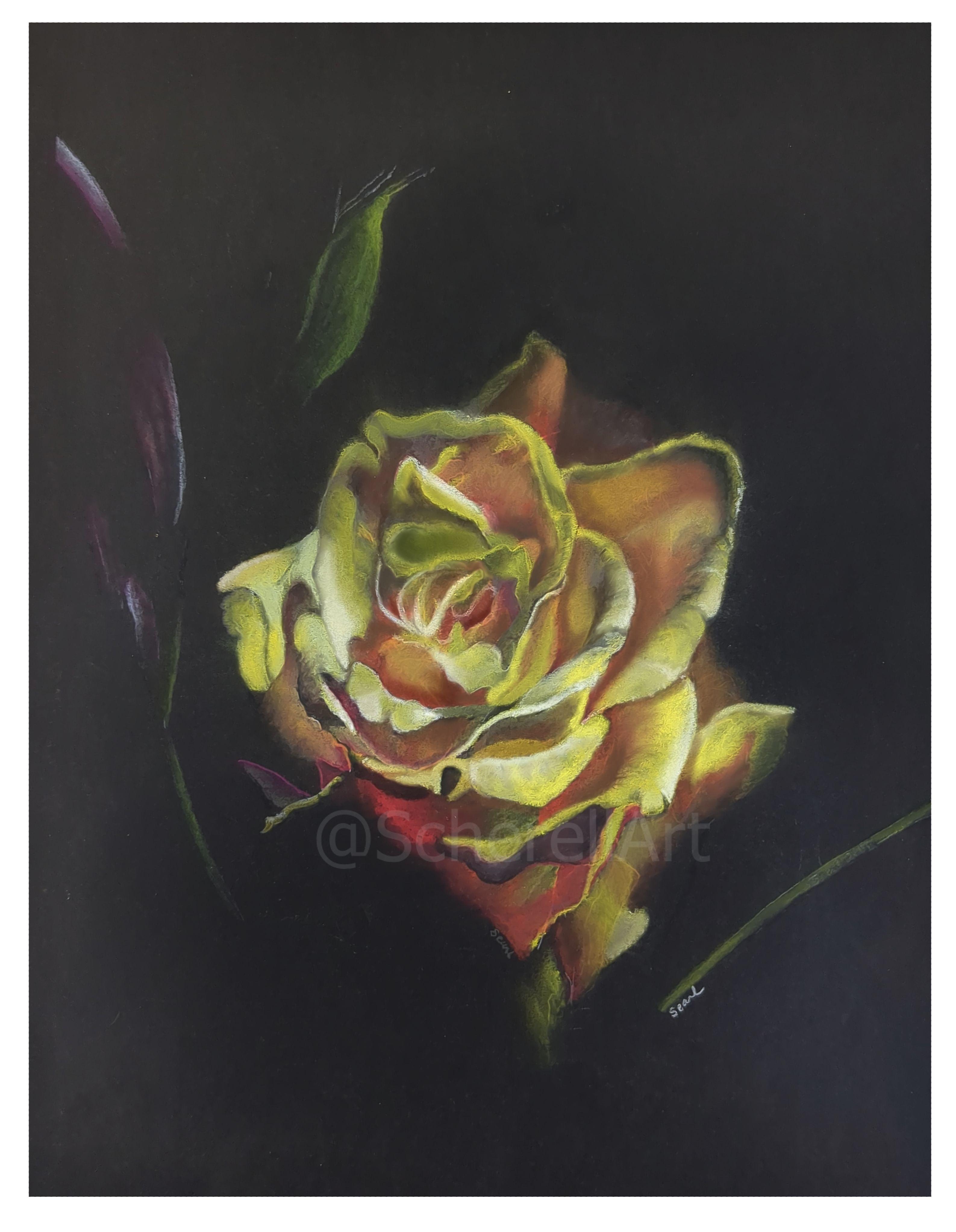 "Yellow Rose"