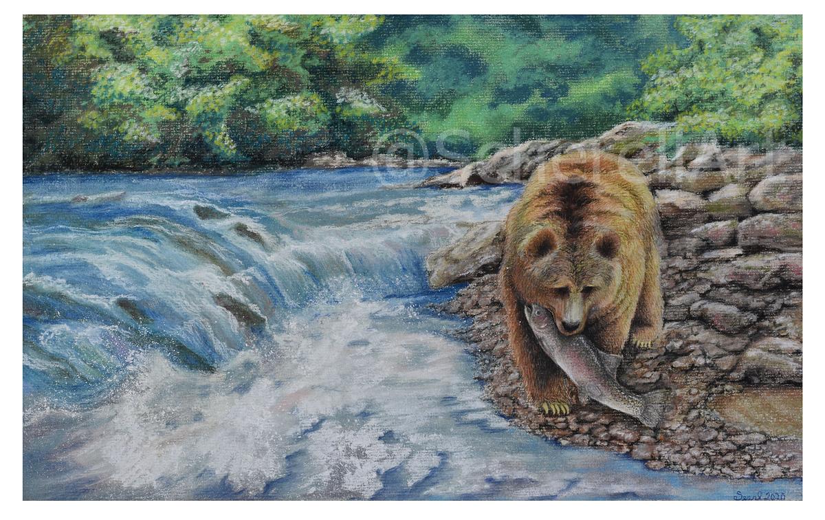 "Salmon Run"