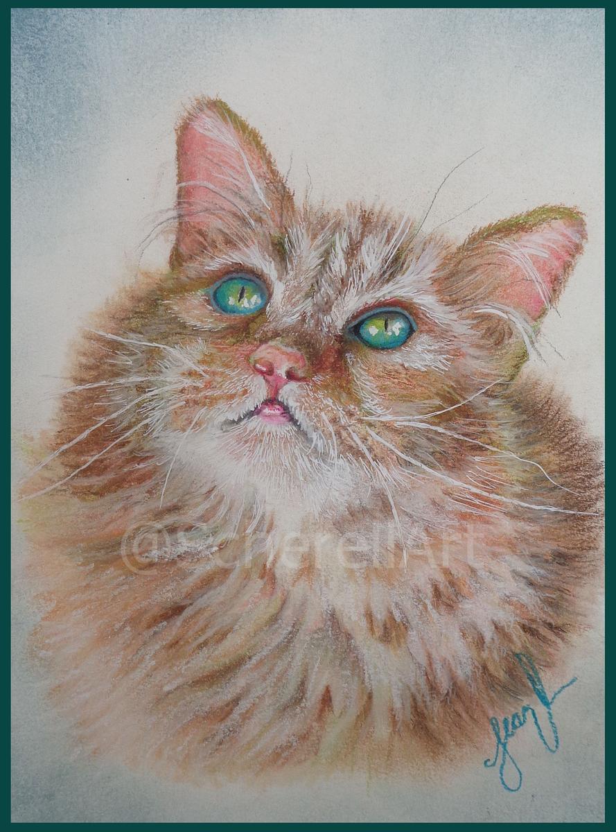 "Cat Eye Tabby"