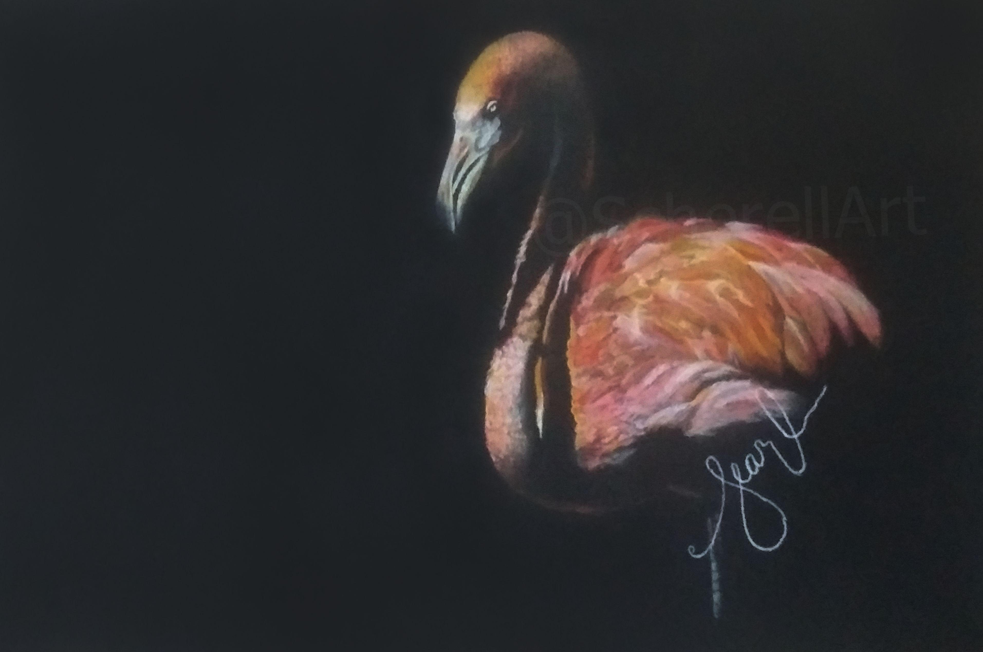 "Dramatic Flamingo"