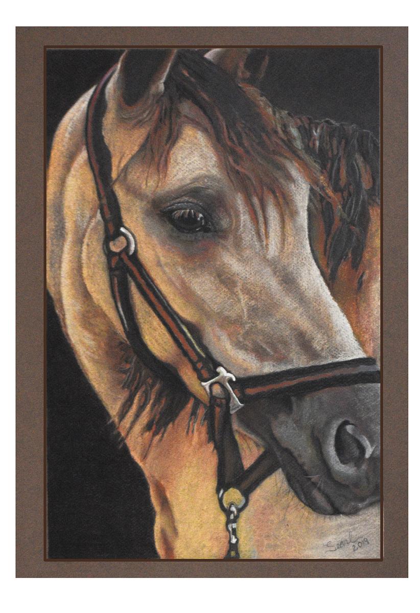 "Roan Horse"