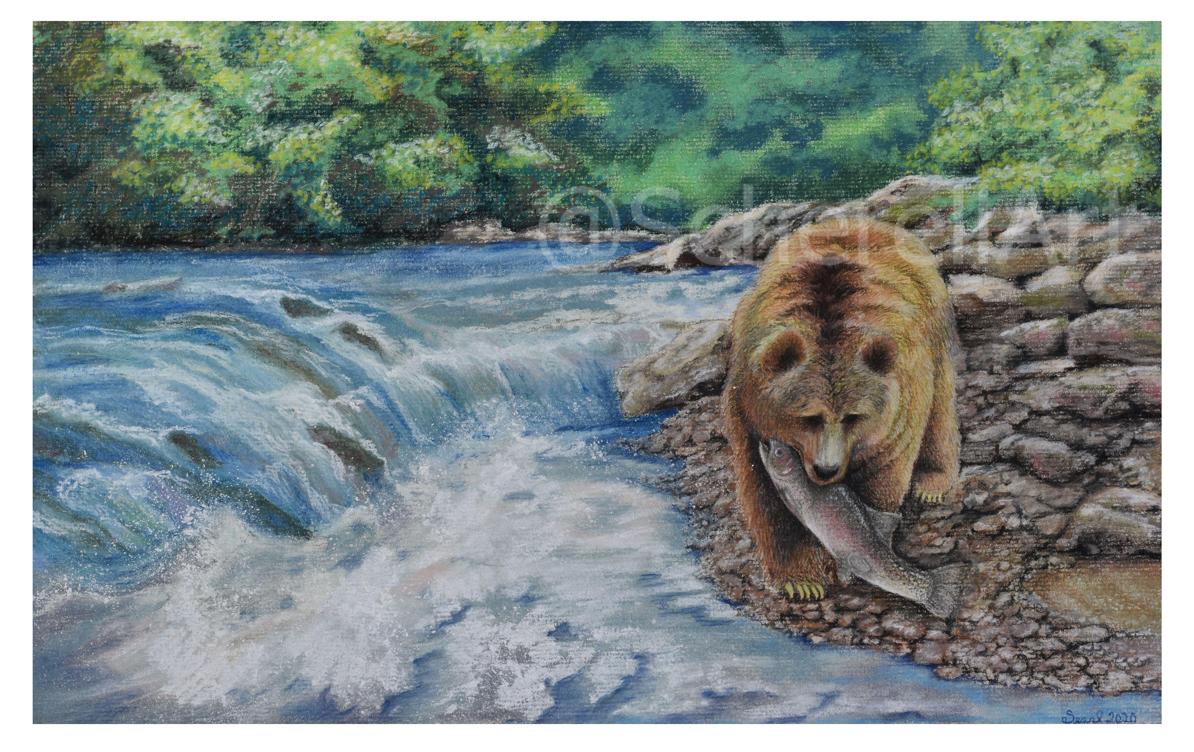 "Salmon Run"